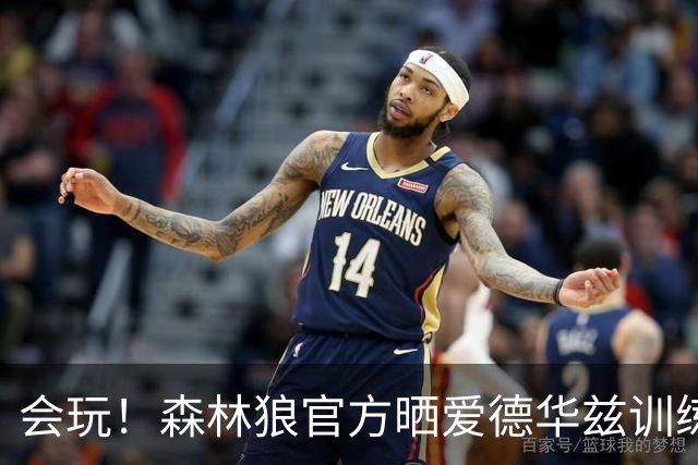 会玩！森林狼官方晒爱德华兹训练视频 后者竟带了爱犬来到训练场