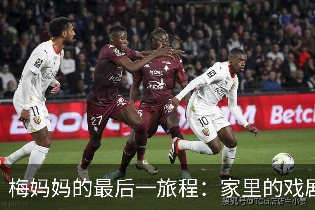 梅妈妈的最后一旅程：家里的戏剧与悲喜交织