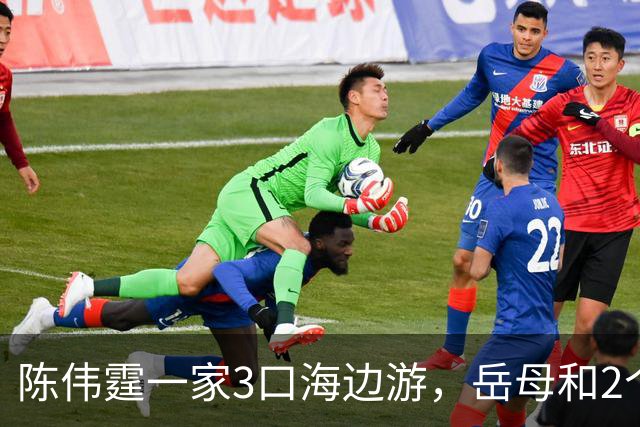 陈伟霆一家3口海边游，岳母和2个保姆出镜，9个月儿子露正脸漂亮