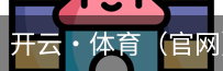 开云·体育